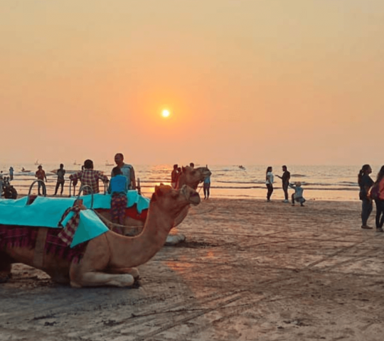 Kalamb Beach, Nalasopara West, Maharashtra