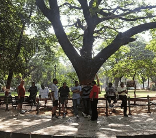 Manoranjan Gardens (Panchgani Park), Dadar East, Mumbai