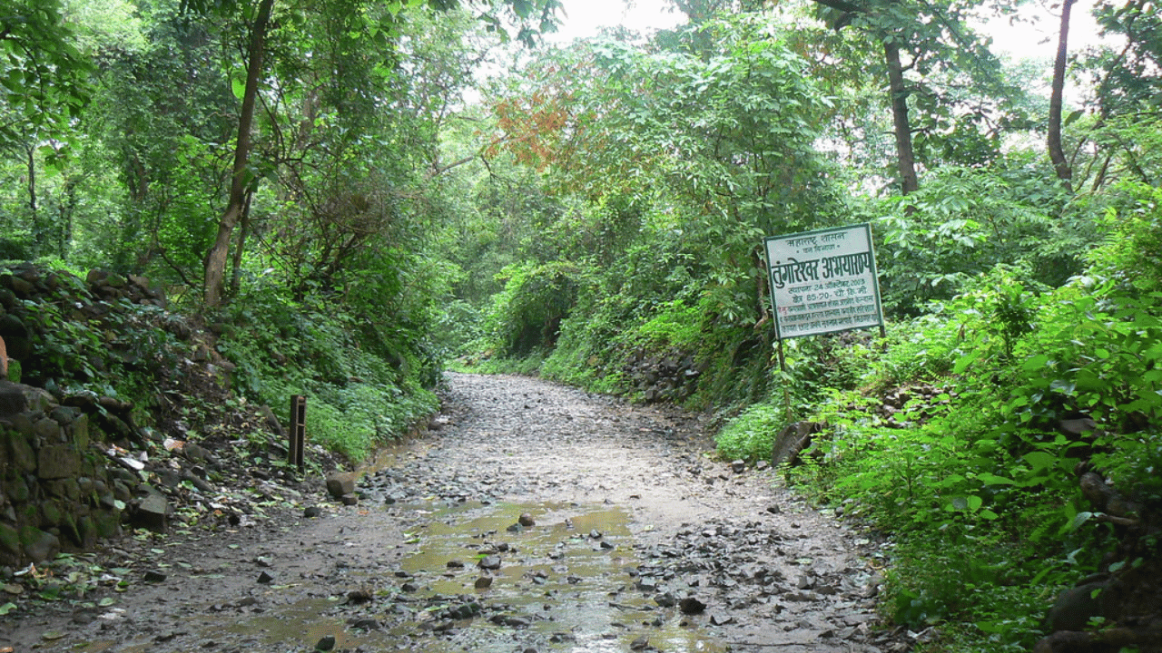 Top Forests Location for Shooting in Mumbai