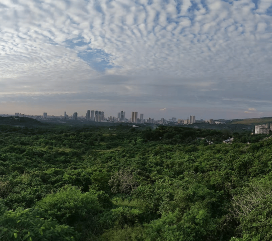 Aarey Forest, Goregaon East, Mumbai