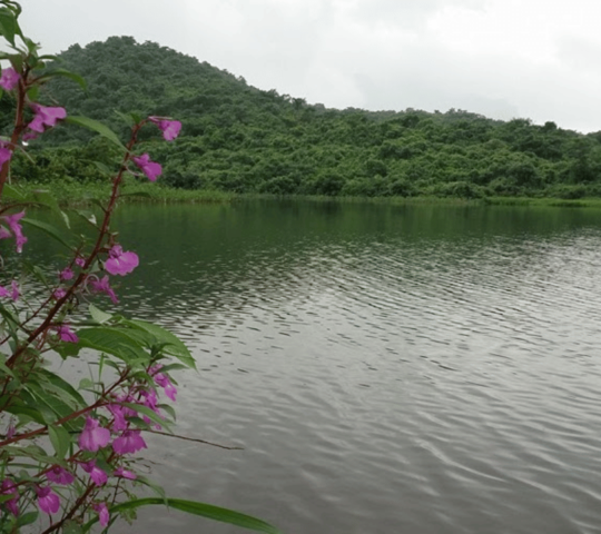 Chikloli Dam, Badlapur, Ambernath, Maharashtra