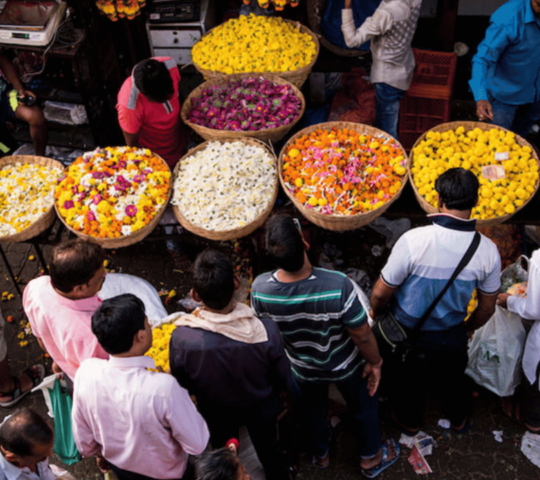 Dadar Flower Market, Dadar, Mumbai