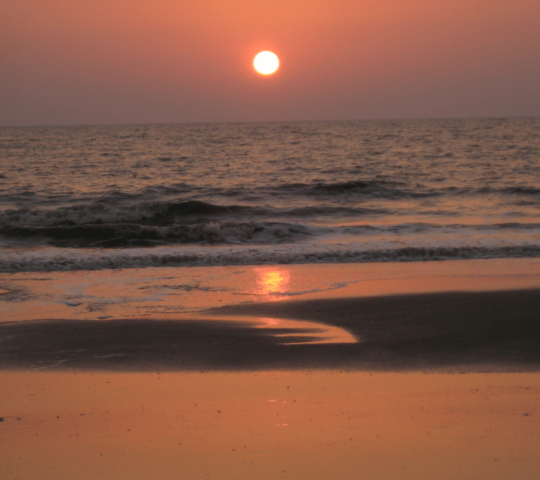 Dahanu Beach, Dahanu, Maharashtra