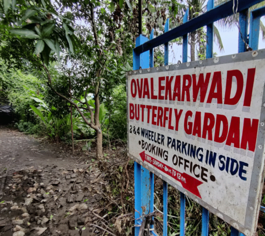 Ovalekar Wadi Butterfly Garden