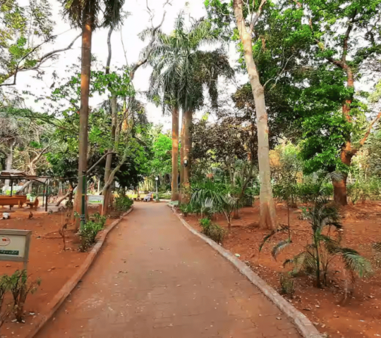 Mumbai Port Trust Garden, Colaba, Mumbai