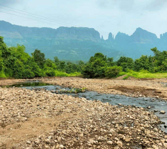 Tansa Wildlife Sanctuary, Tanasa, Maharashtra