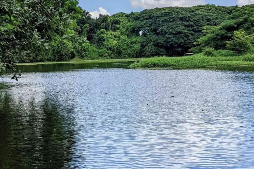 Karanji Lake sceneloc8.com