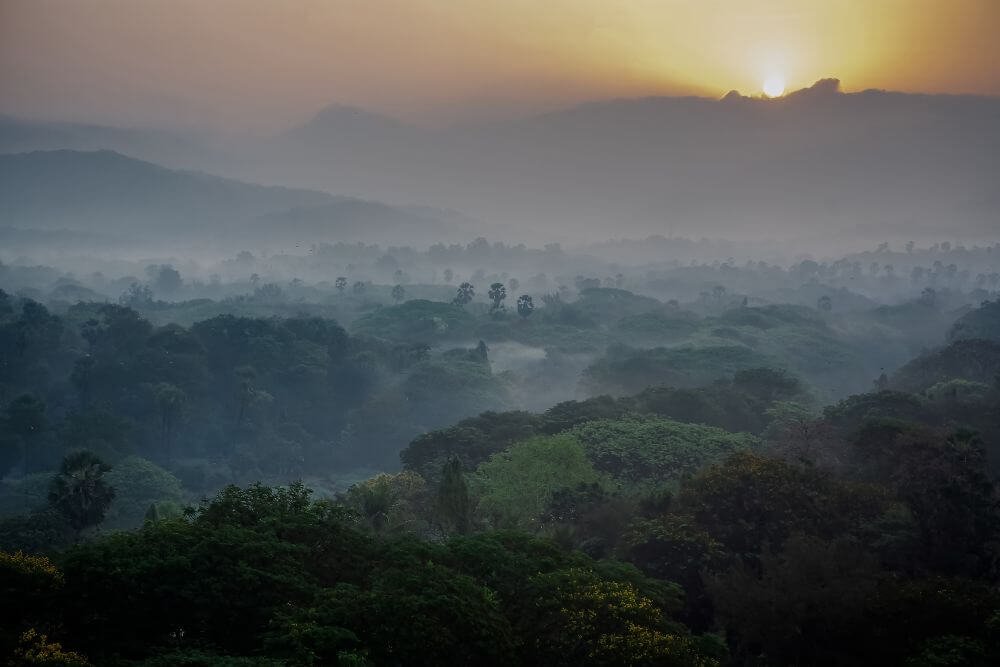 Sanjay Gandhi National Park