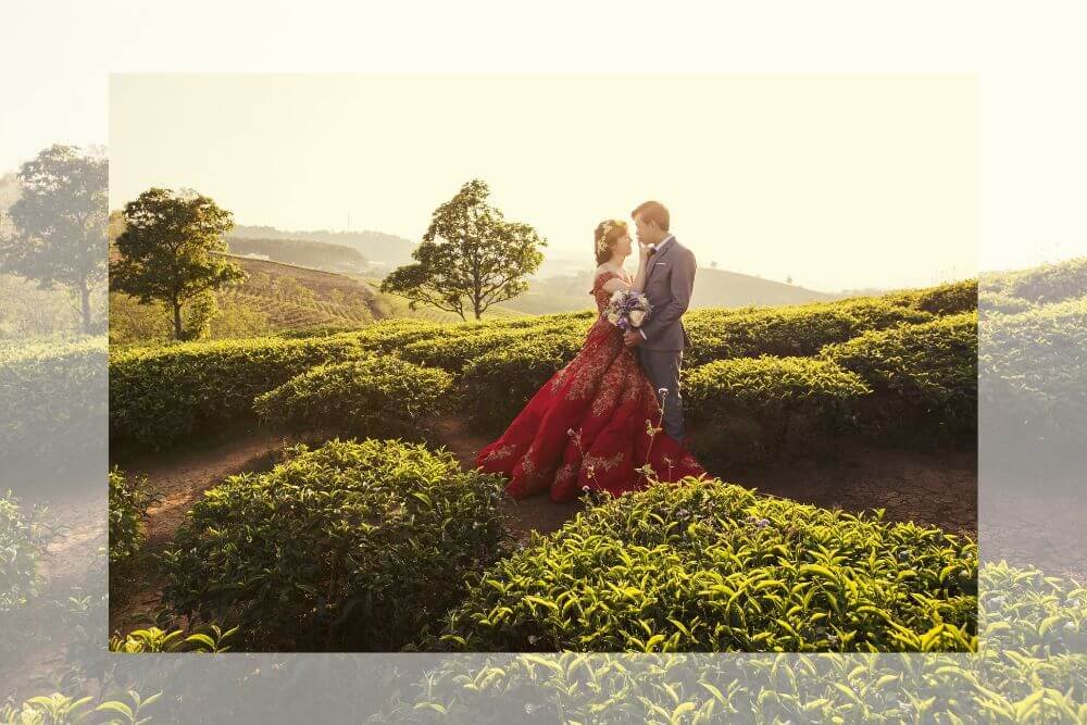 Couple in tea garden sceneloc8.com