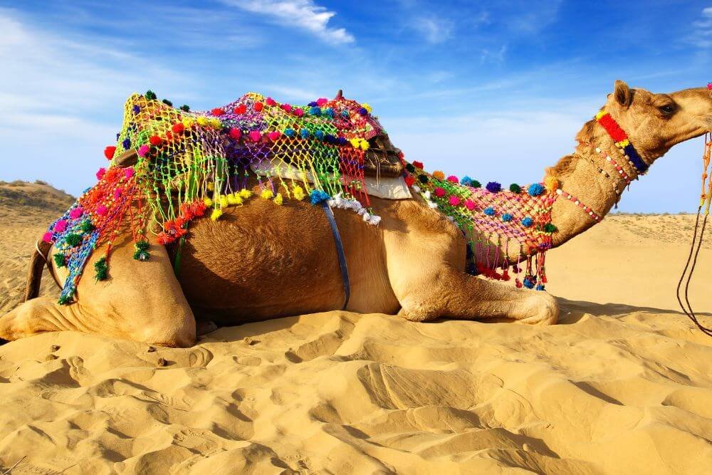 Sand dunes of Bikaner sceneloc8.com