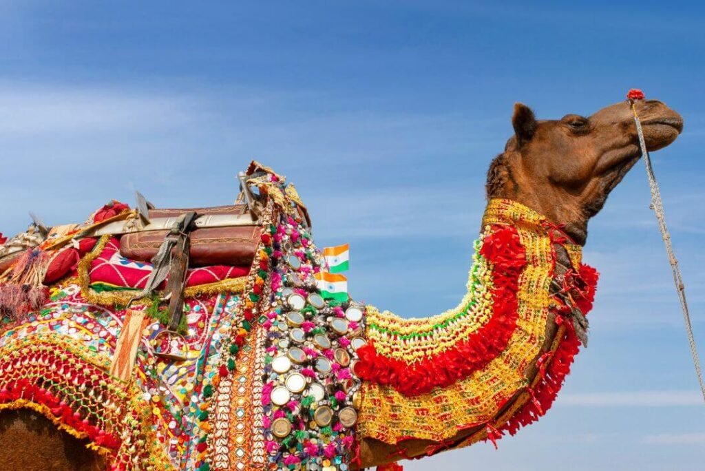 Experience Rajasthan’s Vibrant Festivals: Culture & Tips