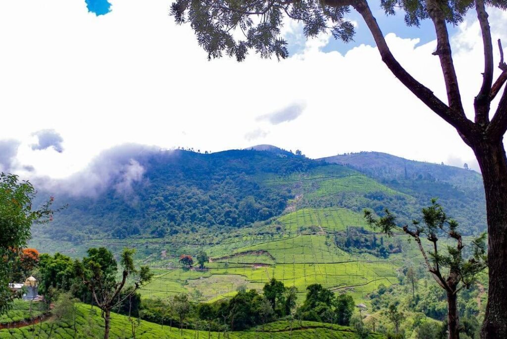 Discover the 21 Best Places to Visit in Coonoor: A Photographer’s Paradise