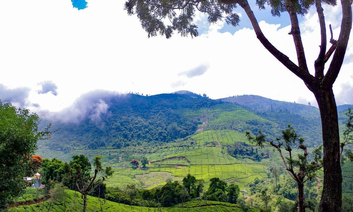 Discover the 21 Best Places to Visit in Coonoor: A Photographer’s Paradise