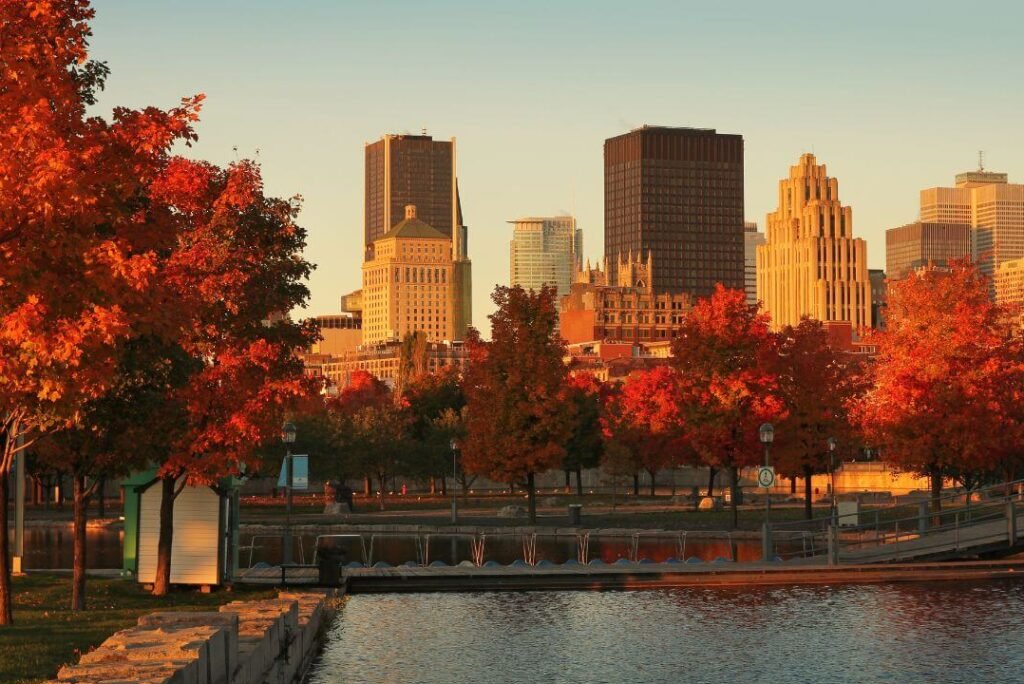 Montreal’s Most Instagrammable Spots for Pre-Wedding Photoshoots