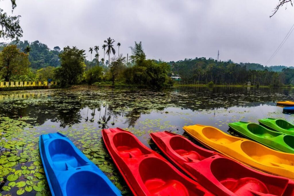 Ring in the New Year: Celebrating in Wayanad’s Natural Paradise