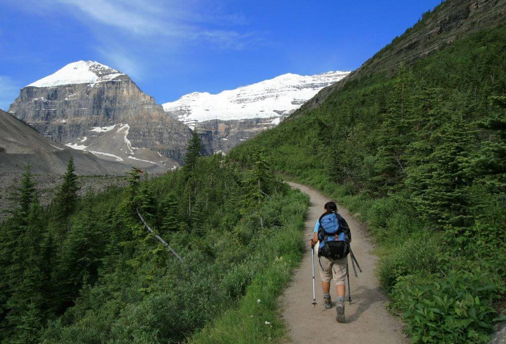 Plain of Six Glaciers Trail sceneloc8.com