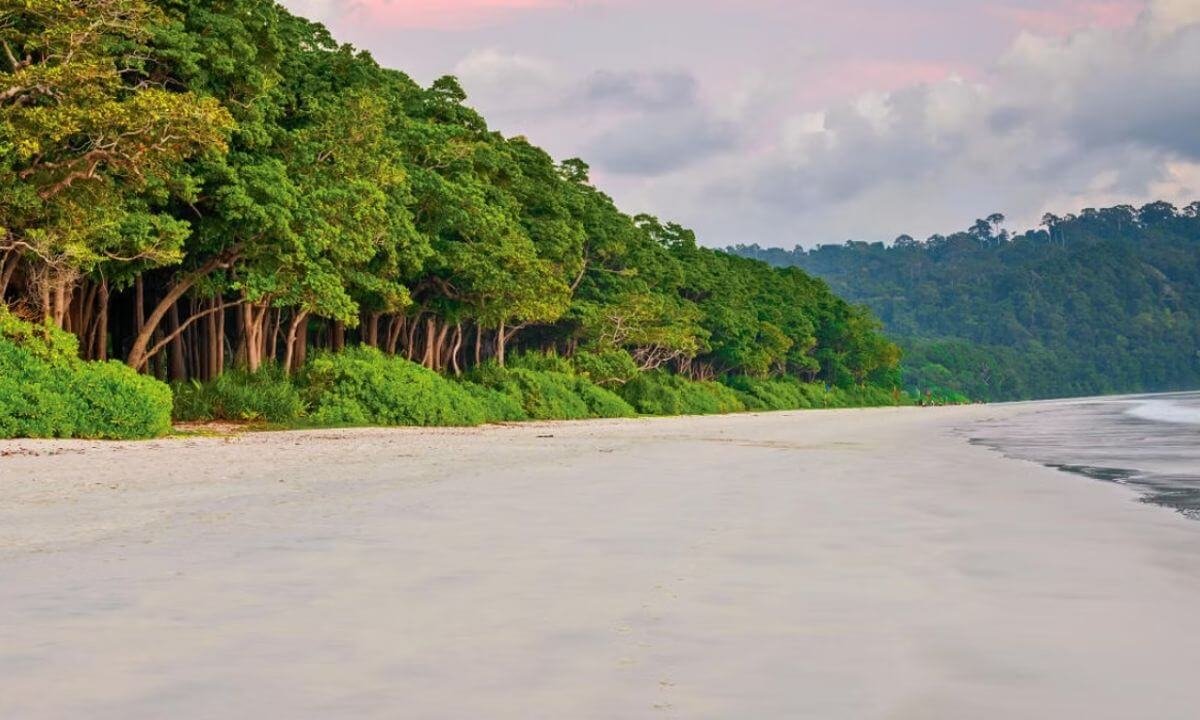 India’s Most Romantic Instagrammable Beaches for Valentine’s Day