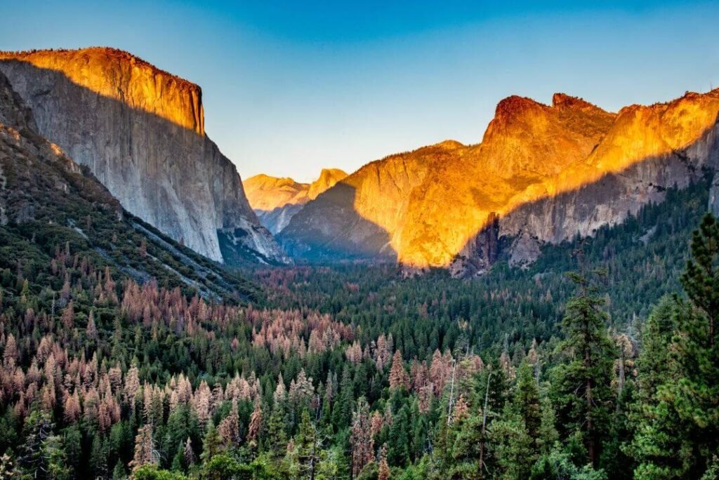 Captivating Yosemite National Park: The Best Location for Pre-Wedding Shoots