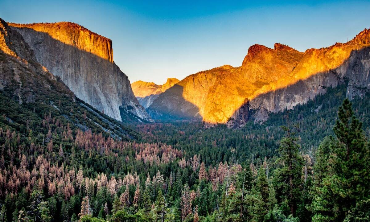 Captivating Yosemite National Park: The Best Location for Pre-Wedding Shoots