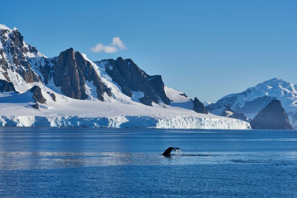 Antarctic Peninsula Photography: Capture the Frozen Frontier