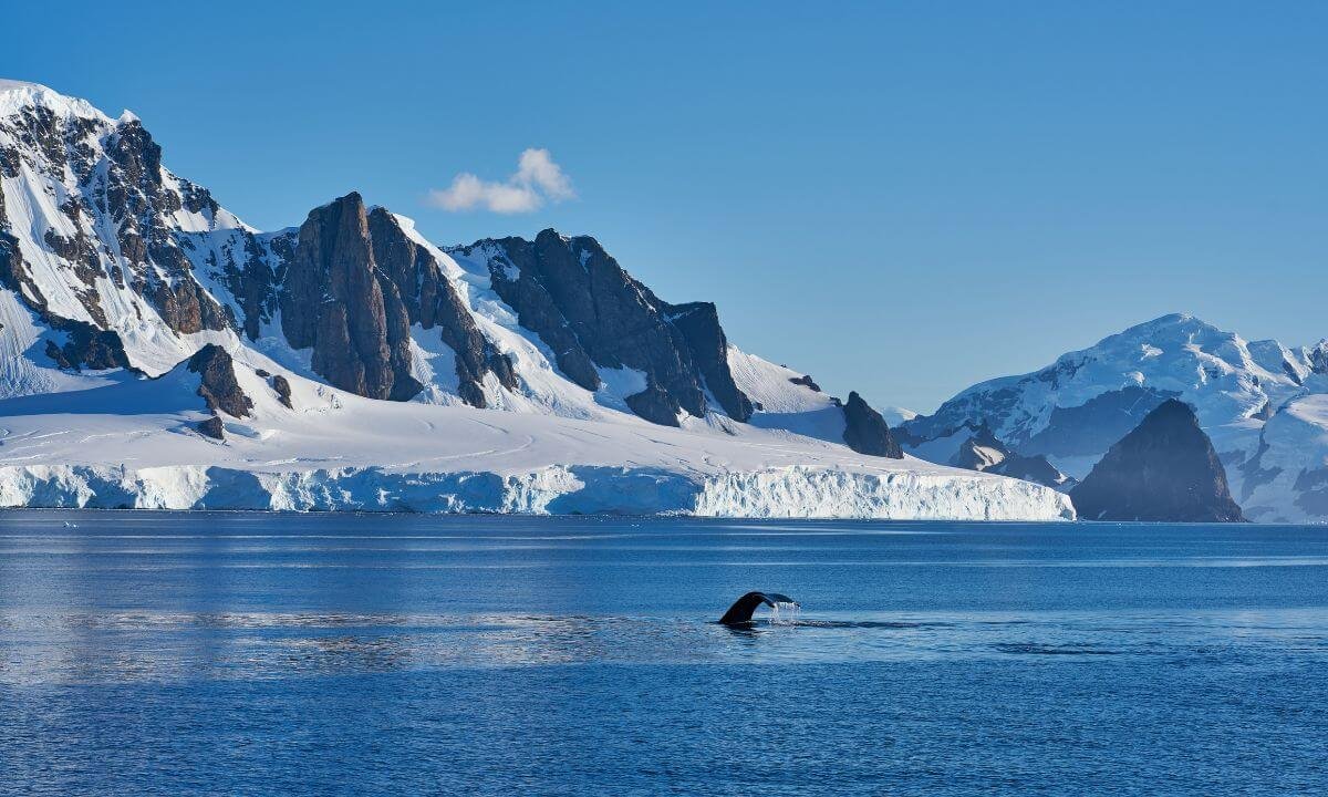 Antarctic Peninsula Photography: Capture the Frozen Frontier