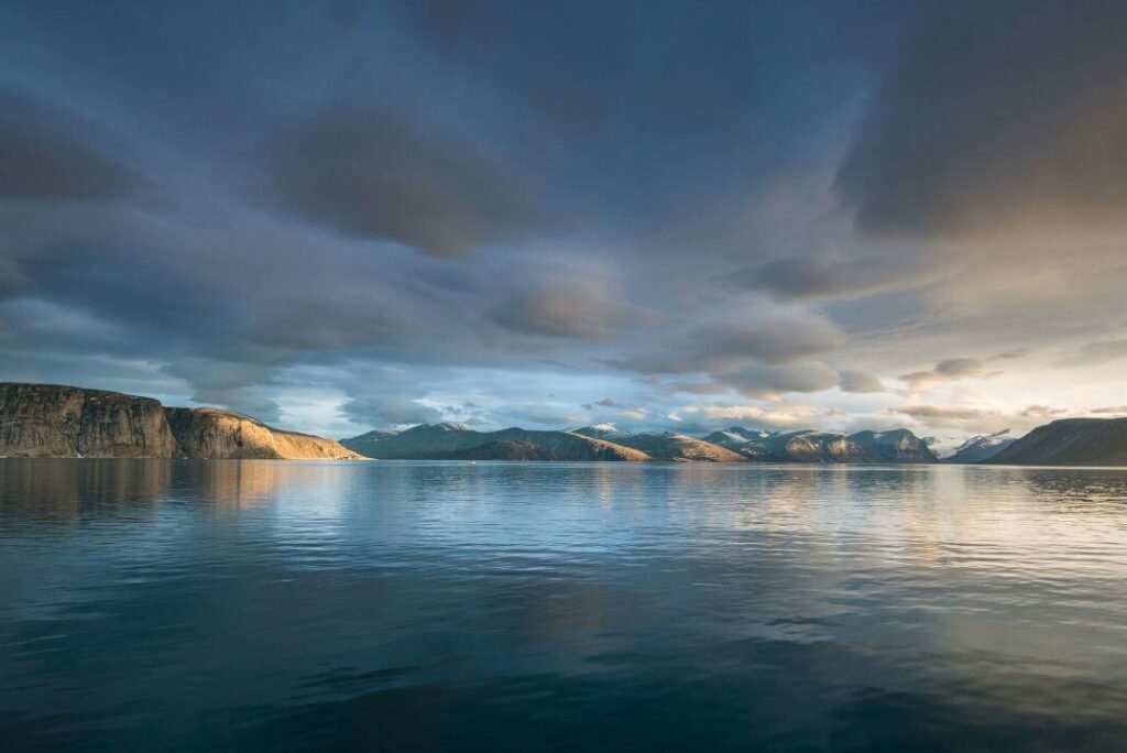 Capture Polar Bears, Arctic Wolves, and Narwhals on Baffin Island