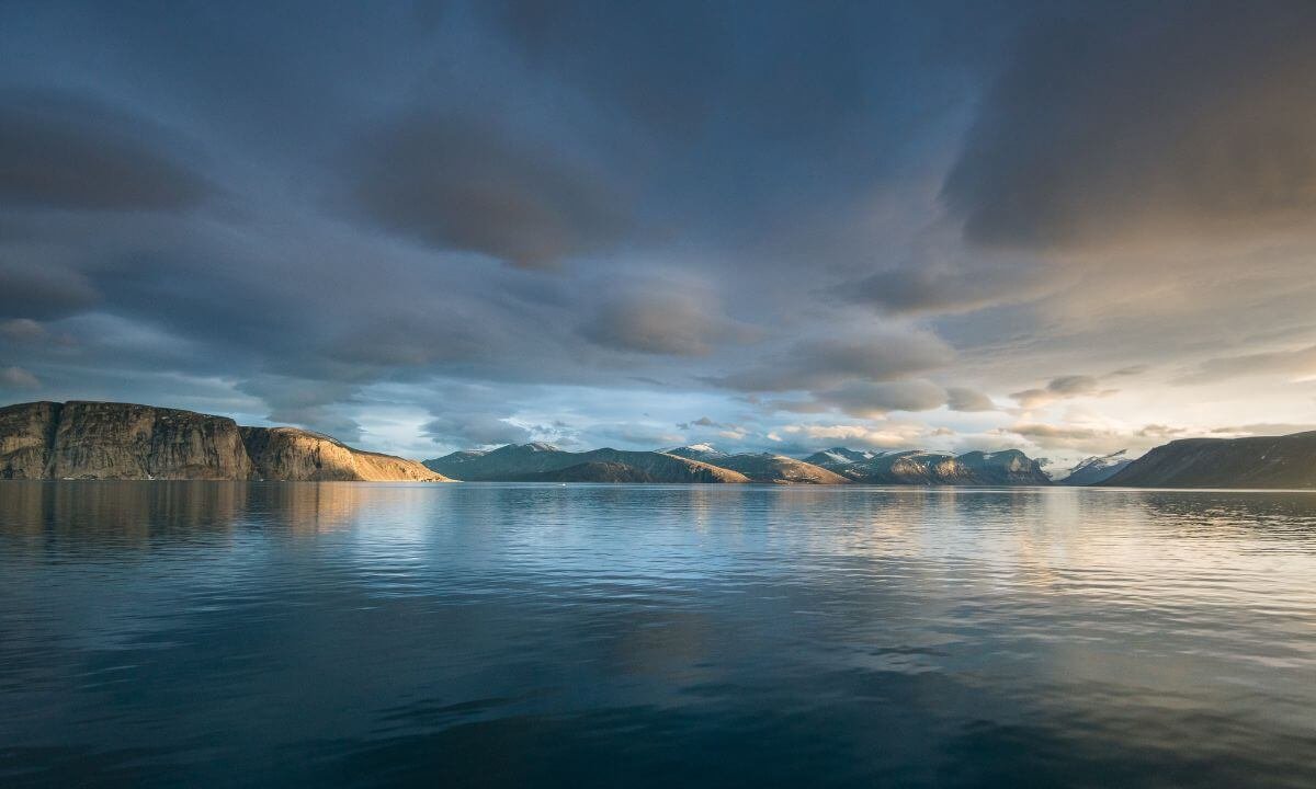 Capture Polar Bears, Arctic Wolves, and Narwhals on Baffin Island