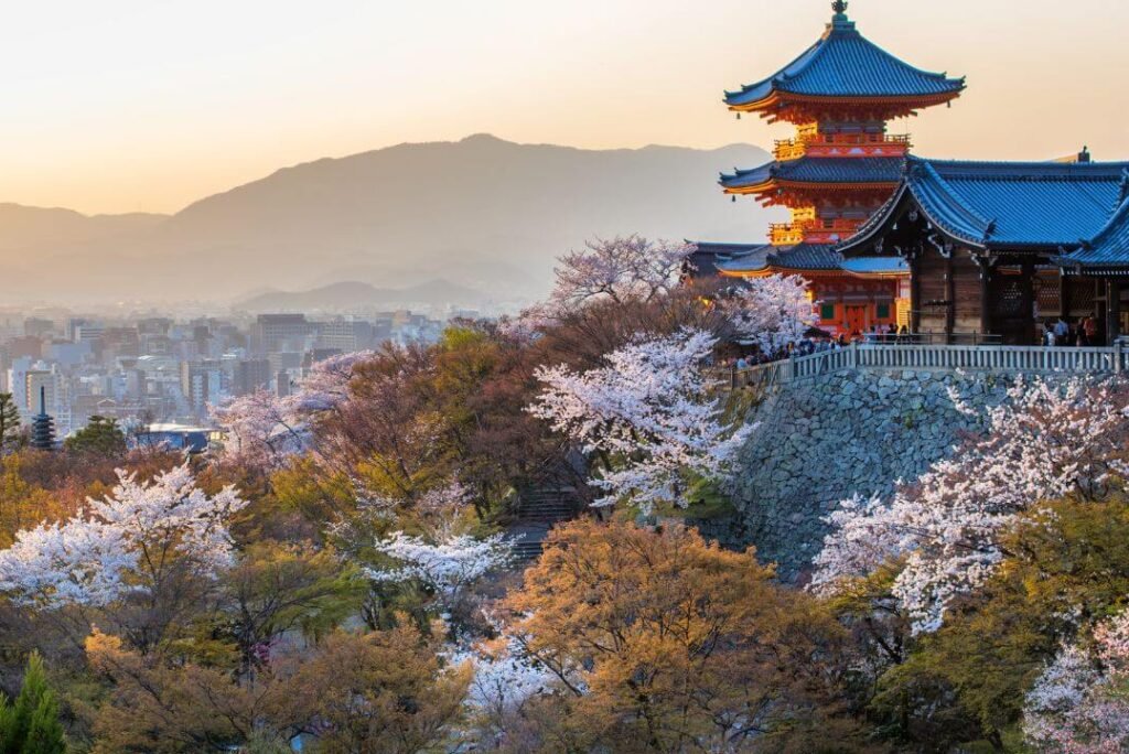 Cherry Blossoms & Bamboo Forests: Best Instagram Spots Kyoto