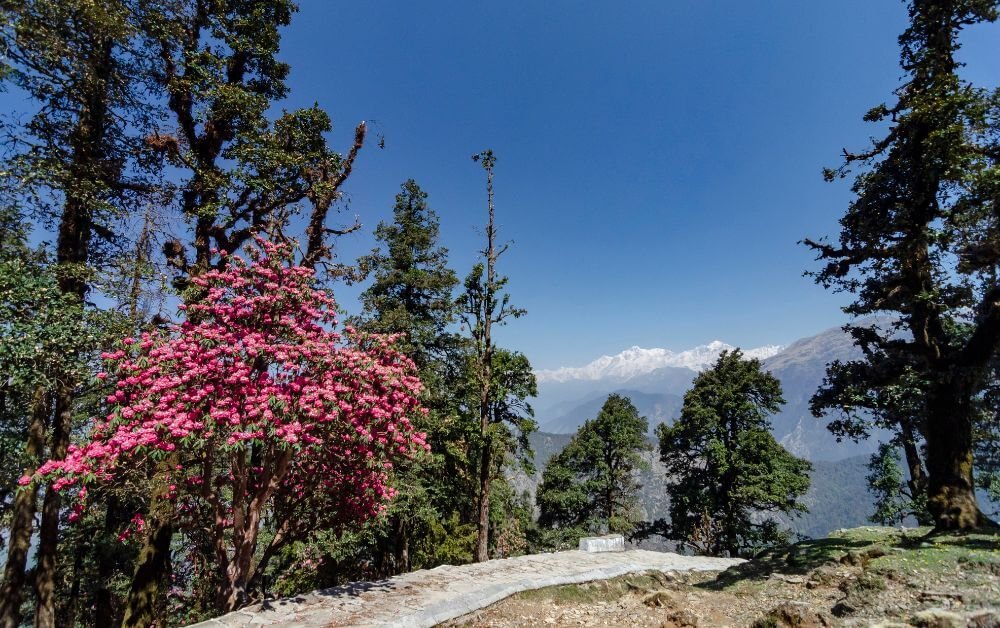 Chopta