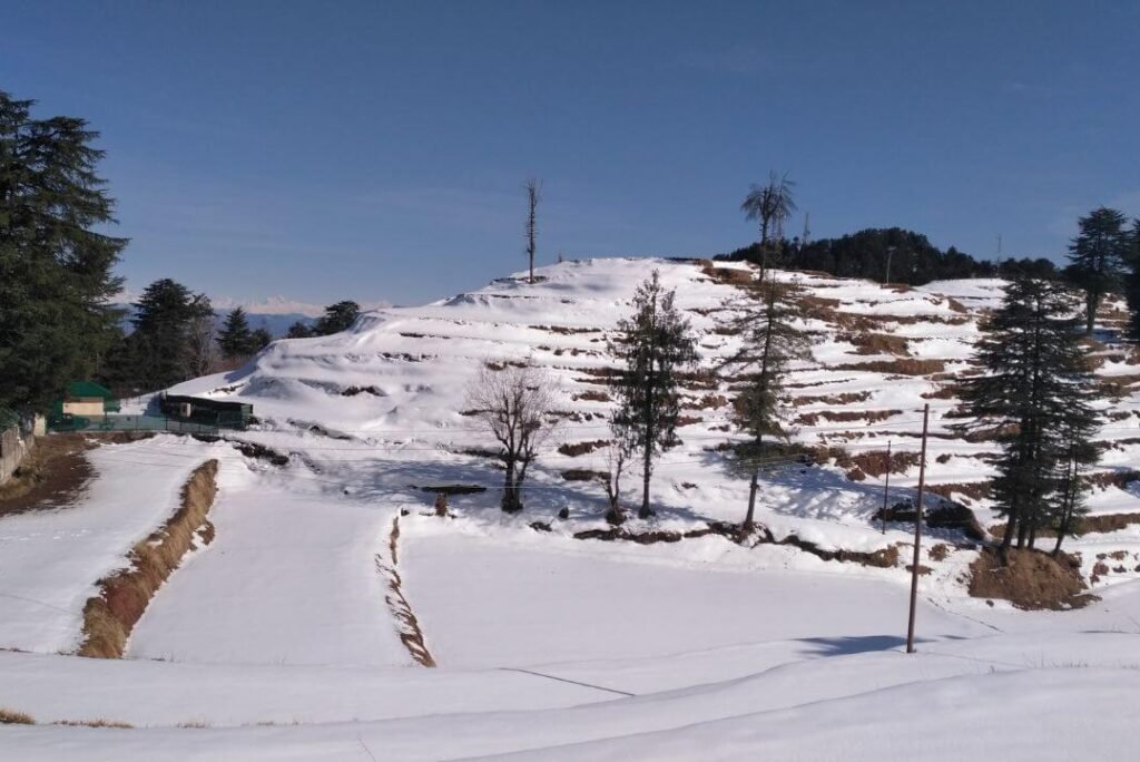 Shimla’s Most Romantic Spots for Pre-Wedding Shoots: A Scenic Love Story
