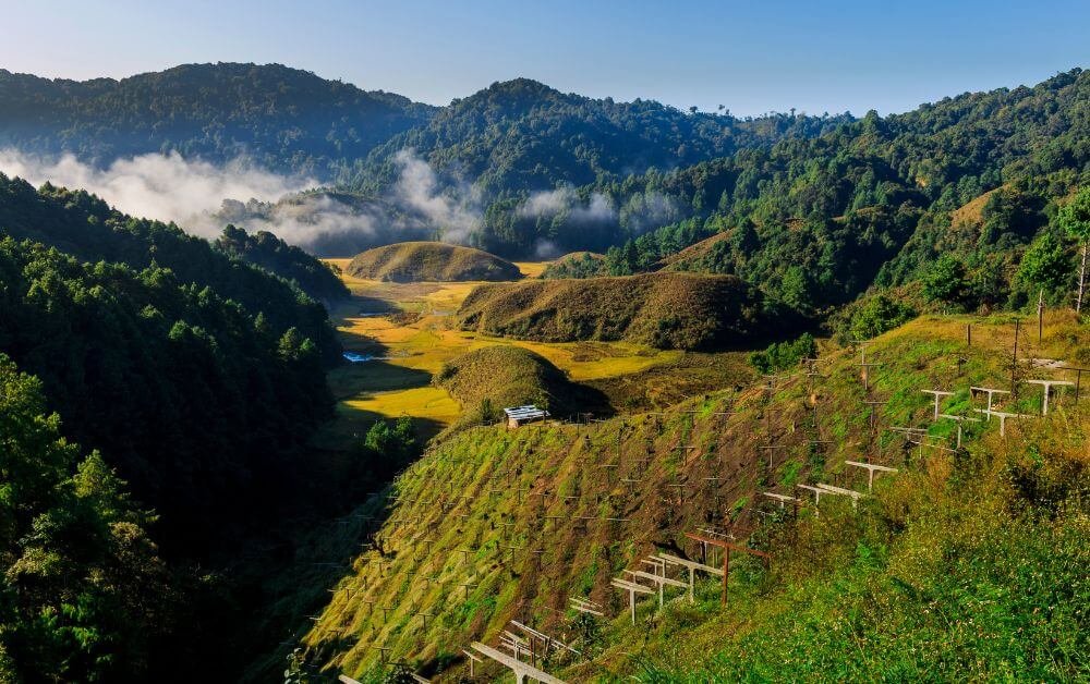Ziro Valley