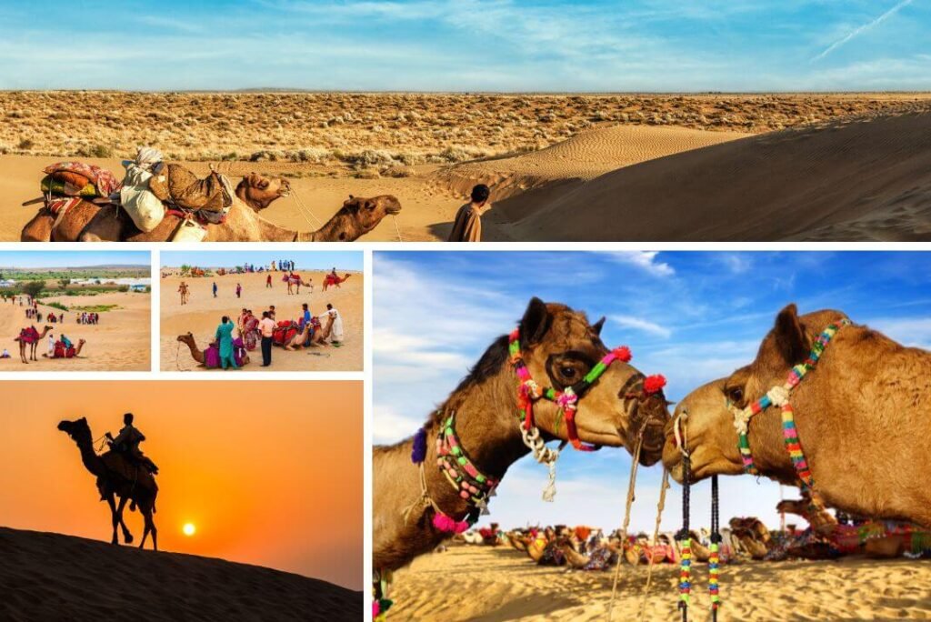 Desert Safaris: Experiencing the Thar Beyond the Dunes