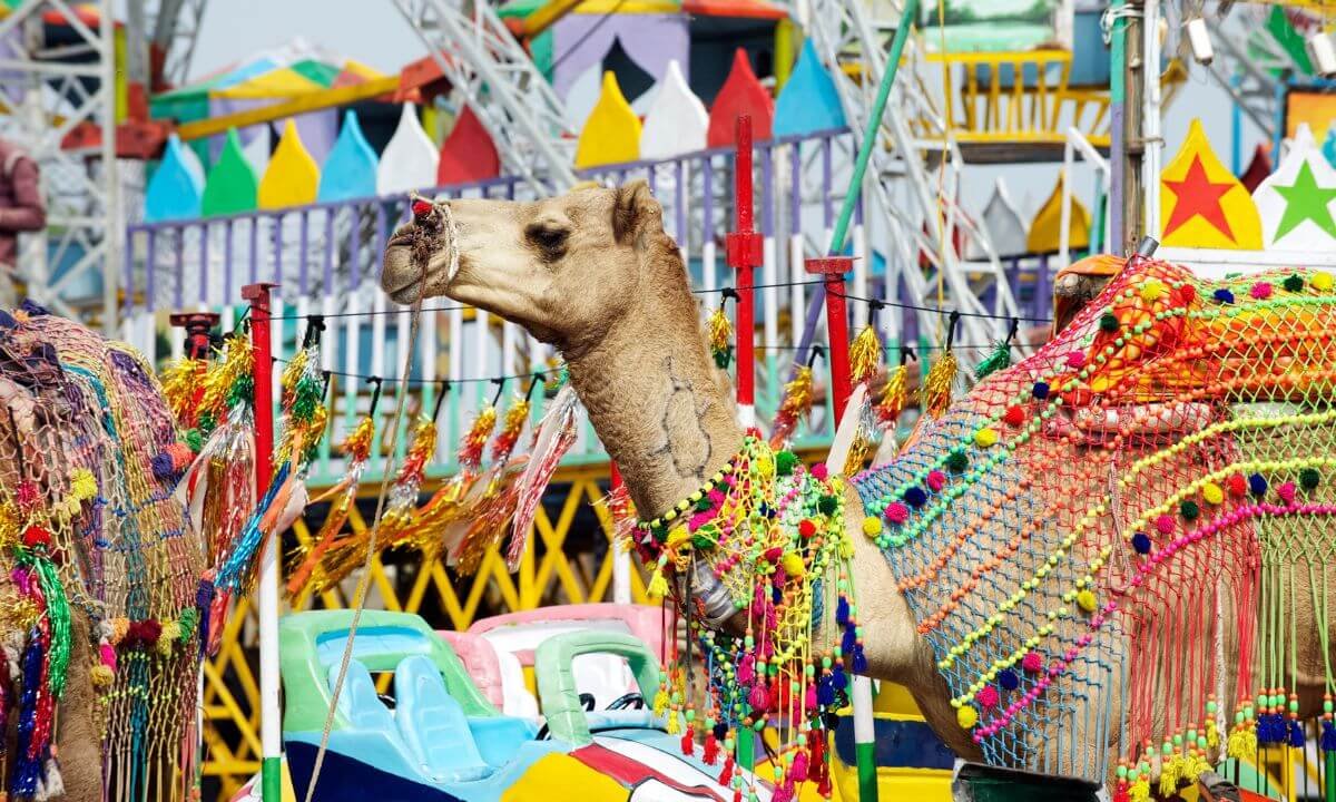 Pushkar Camel Fair photoshoot