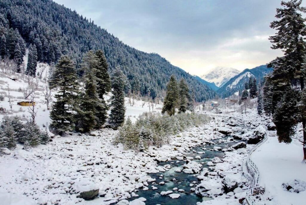 Nature Photoshoot in Kashmir – Scenic Beauty for Perfect Shots