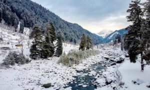Nature photoshoot in Kashmir