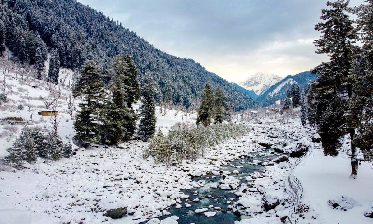 Nature Photoshoot in Kashmir – Scenic Beauty for Perfect Shots Nature Photoshoot in Kashmir – Scenic Beauty for Perfect Shots