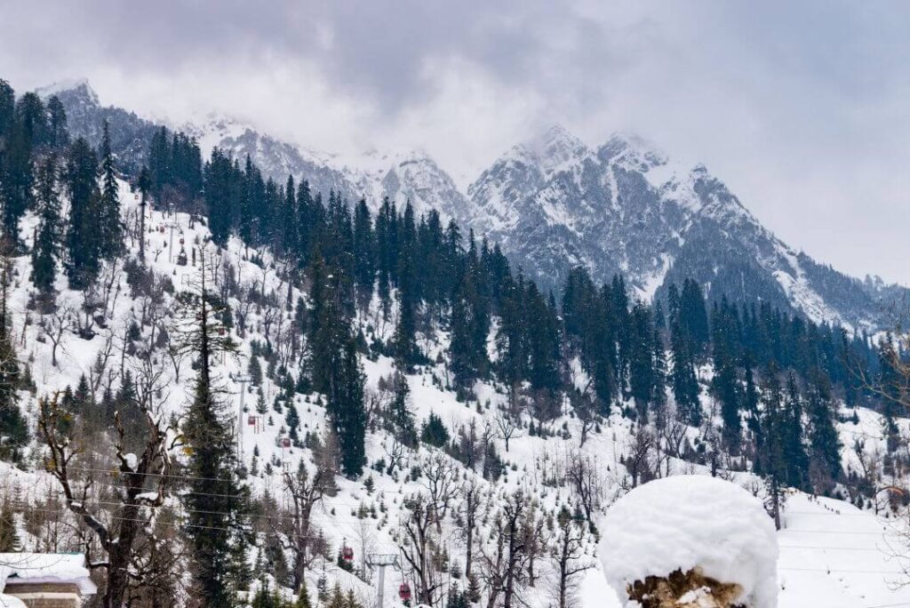 Romantic Photoshoot in Manali’s Snowy Meadows