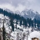 Hollywood Filming Parks in Central Park: A Cinematic Journey