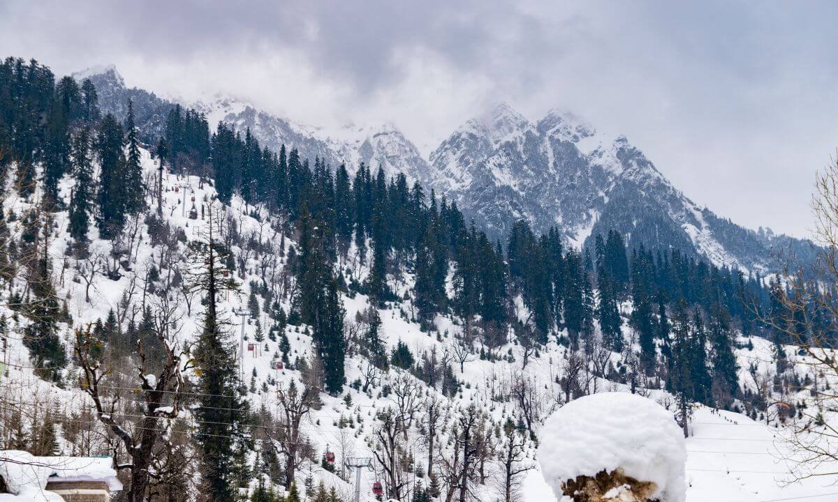Romantic Photoshoot in Manali’s Snowy Meadows