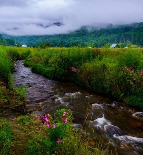 Discovering Dwarkadhish Temple Virar – A New Spiritual Landmark Near Mumbai
