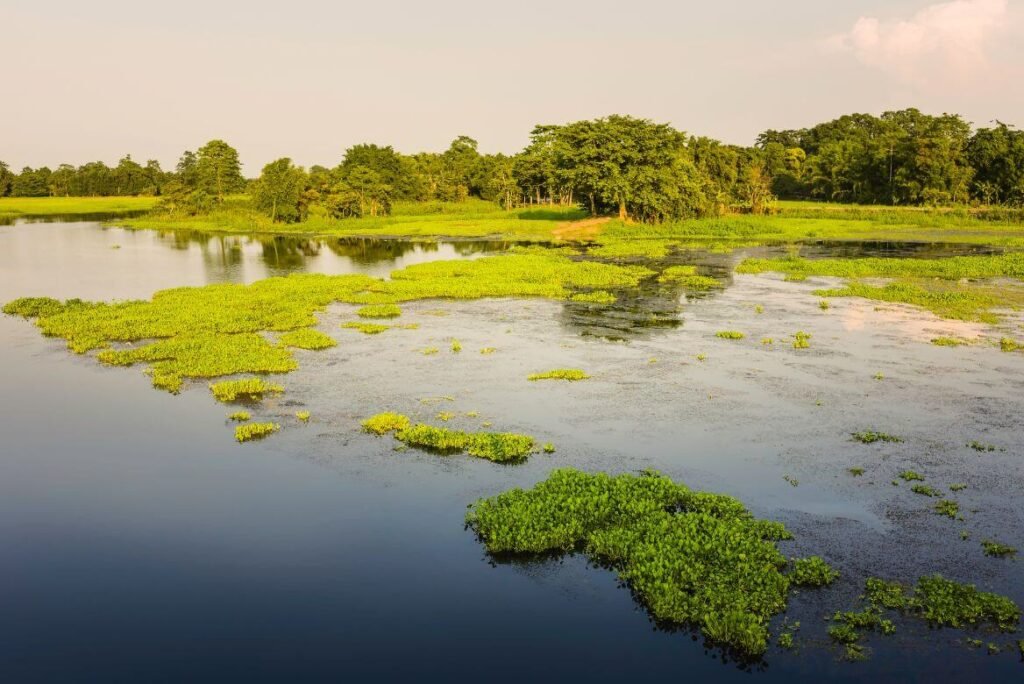 Forgotten River Islands and Sandbars in India