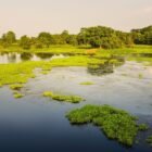 Mastering Digital Marketing with Common Sense: A Deep Dive into Mayur Merai’s Book