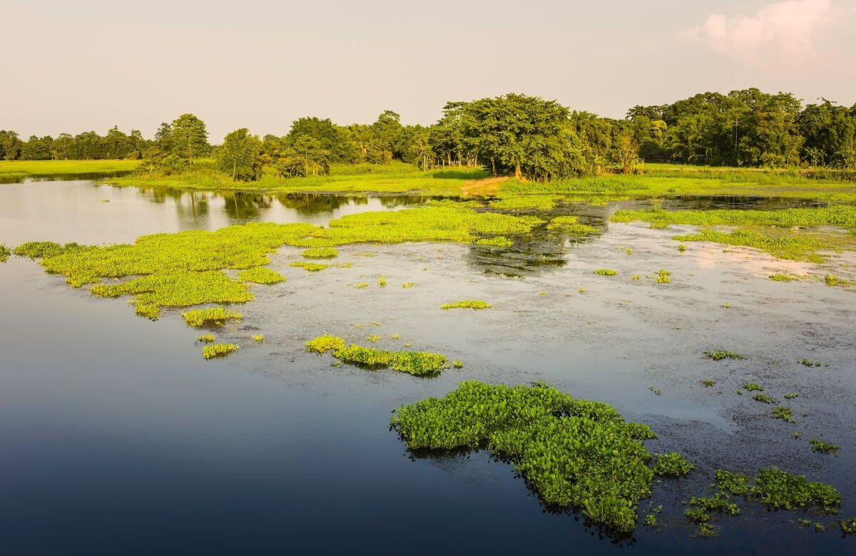 Forgotten River Islands and Sandbars in India