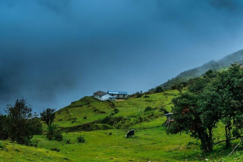 Scenic Cliffside Views Only Locals Know