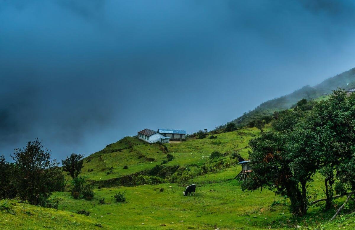 Scenic Cliffside Views Only Locals Know