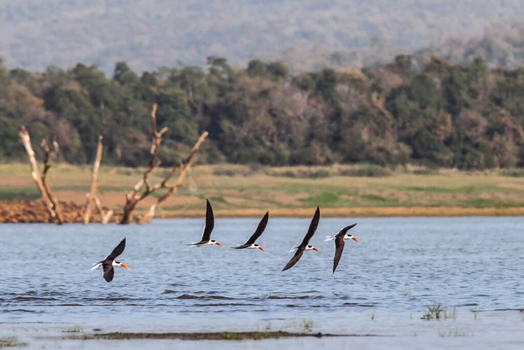 Secret Jungle Retreats for Weekend Travellers